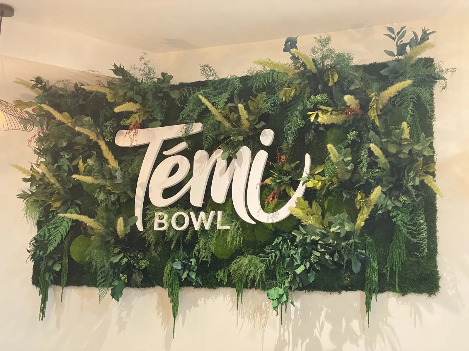 Mur végétal et logo Témi Bowl